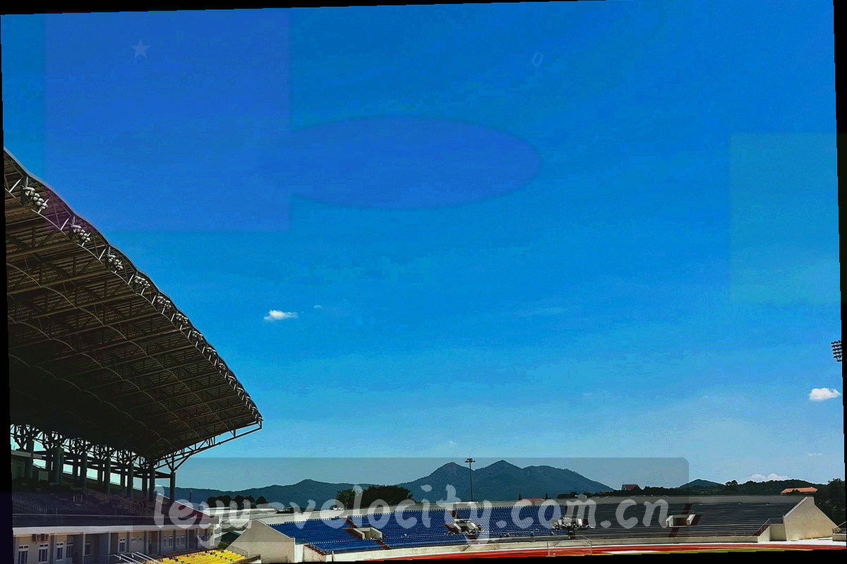 草皮纹理微距，可见修剪纹路与表面露水的反光